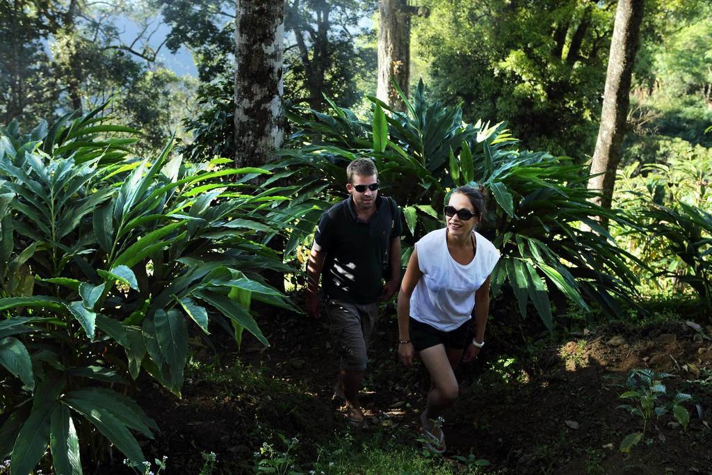 Hotel Olive Brook Munnar Zimmer foto