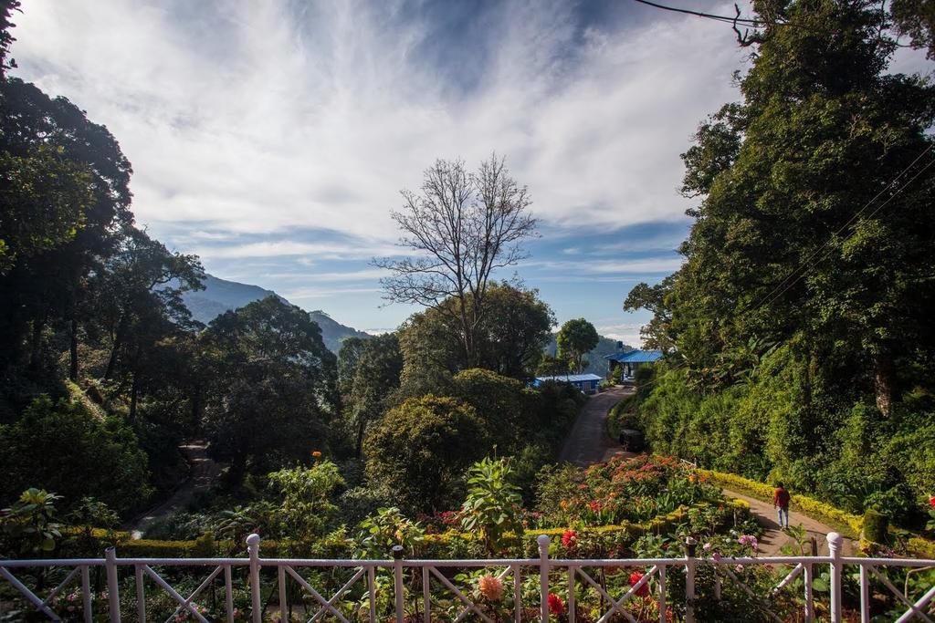 Hotel Olive Brook Munnar Zimmer foto