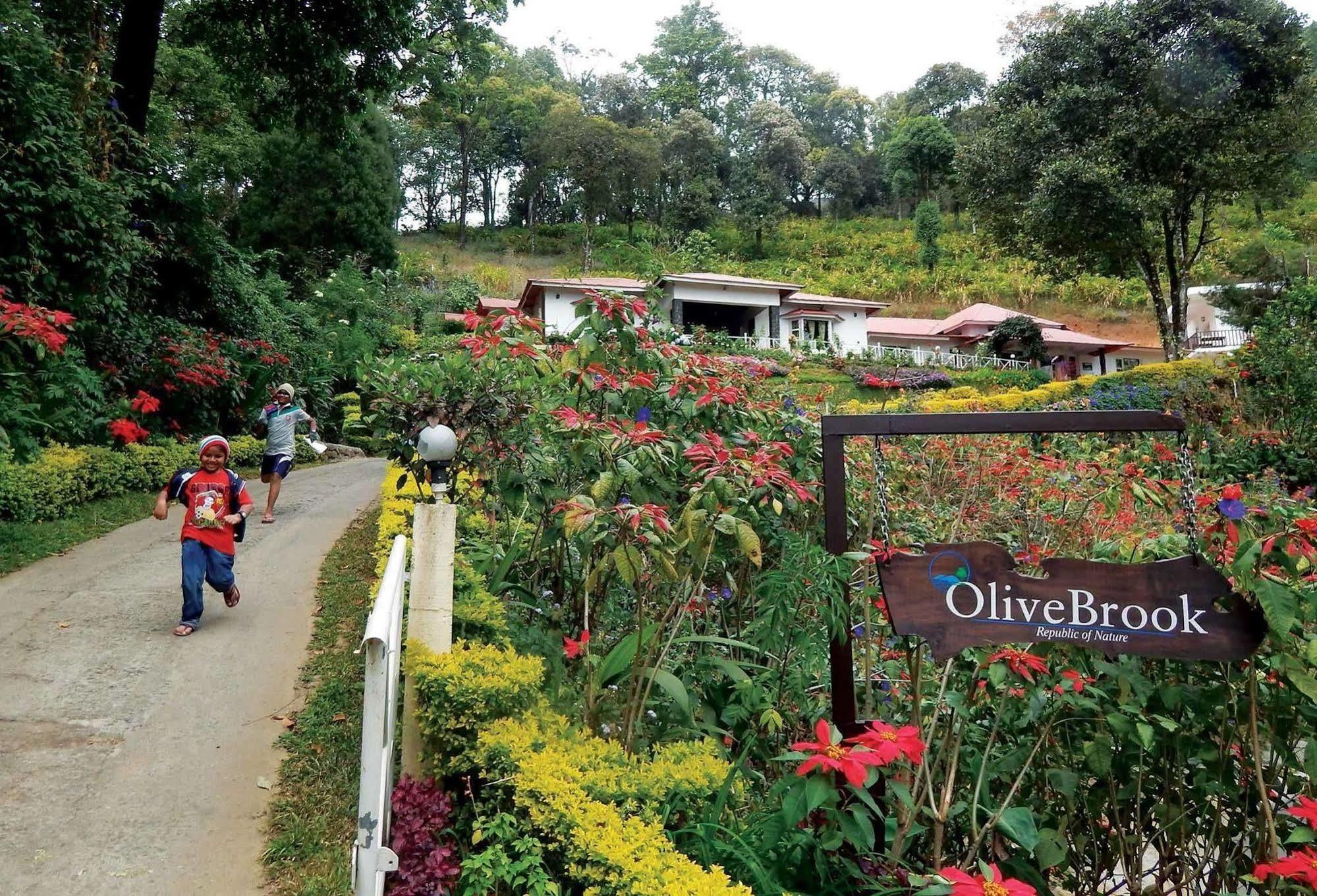 Hotel Olive Brook Munnar Exterior foto